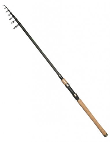 ARCA CANNE PIKE CATCH 300H - TELE 3,00M ARCA