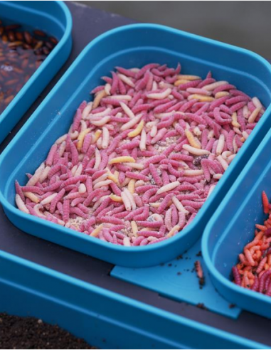 DRENNAN BOITE À ESCHES MODULAIRE AVEC... DRENNAN BOITE À ESCHES MODULAIRE AVEC...