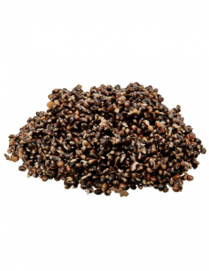 STARBAITS PARTIKELS READY SEEDS HEMP STARBAITS 2