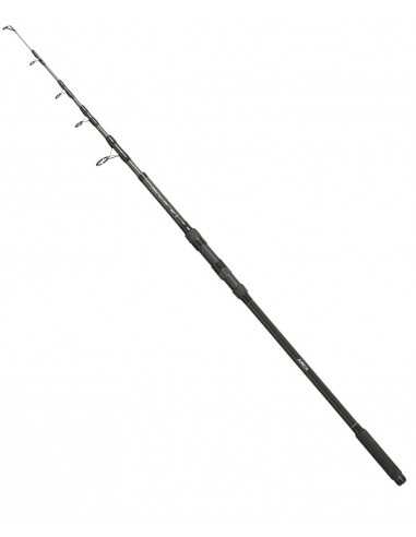 ARCAR HENGEL TÉLÉSCOPIQUE CARP 12FT 3LBS ARCA