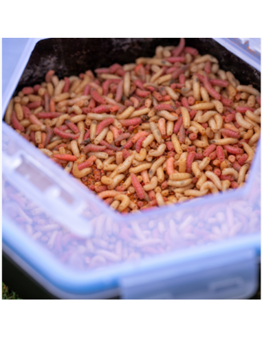 ZEBCO AASDOOS SECURE LOCK BAIT BOX ZEBCO ZEBCO AASDOOS SECURE LOCK BAIT BOX ZEBCO