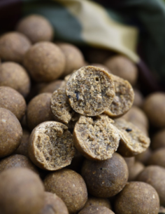 CCMOORE BOILIES ODYSSEY XXX SHELF LIFE CCMOORE 2