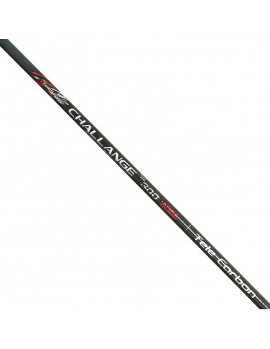 ARCA MANCHE ÉPUISETTE LANDIN NET HANDLE CHALLANGE TELE ARCA