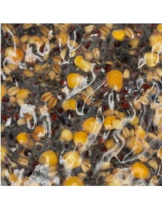 SPROTSHOP PARTIKELS KARPER MIX 3KG SPORTSHOP 2