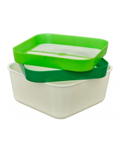 SENSAS AASDOOS ZEVENSET + DOOS GROOT MODEL SENSAS