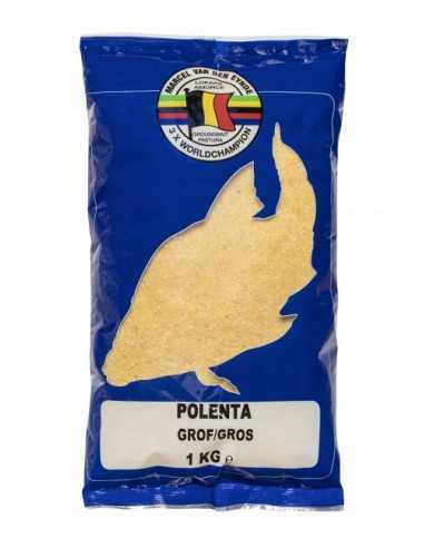 MARCEL VAN DEN EYNDE LOKAAS POLENTA GROF
