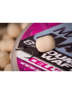 MAINLINE MATCH DUMBELL WAFTERS WHITE – CELL MAINLINE 2
